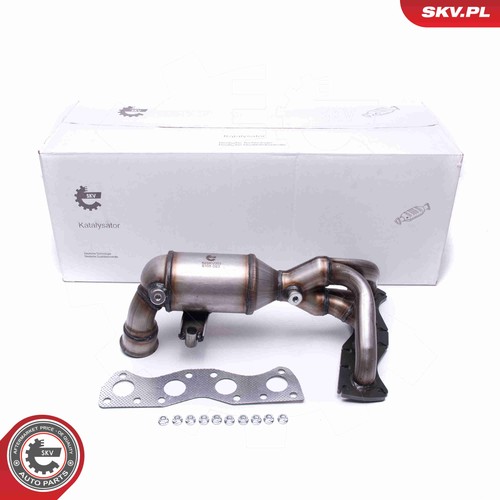 Esen skv 62skv003 katalysator - skv,