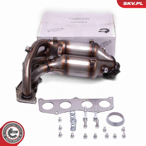 Esen skv 62skv024 katalysator - esen,