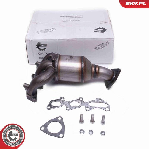 Esen skv 62skv012 katalysator - skv,