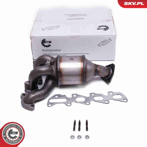 Esen skv 62skv029 katalysator - skv,