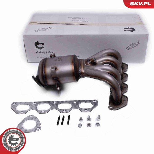 Esen skv 62skv017 katalysator - skv,