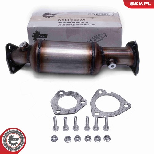 Esen skv 62skv019 katalysator - 62skv019,