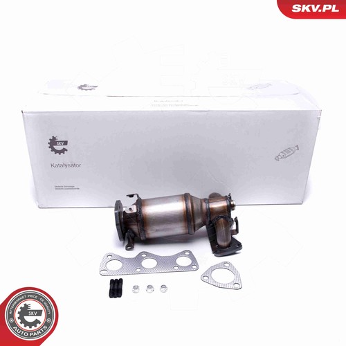 Esen skv 62skv010 katalysator - esen,